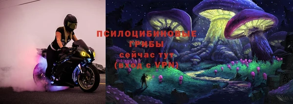 экстази Арсеньев