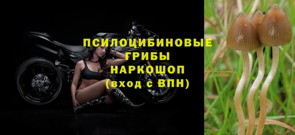 экстази Арсеньев